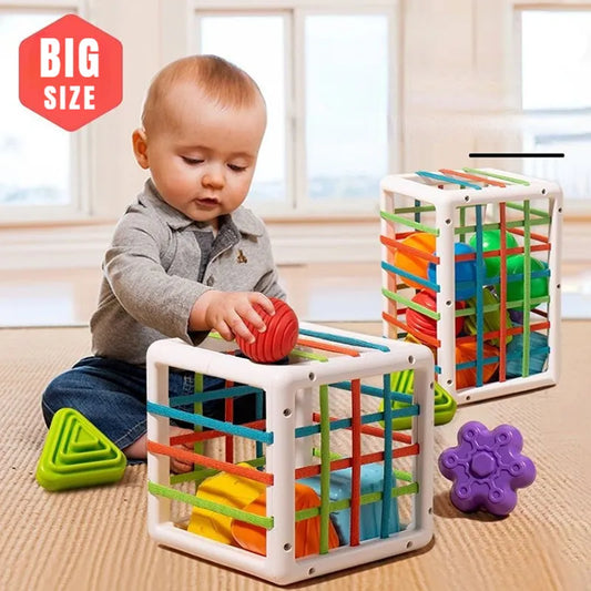ShapeSort Baby Blocks
